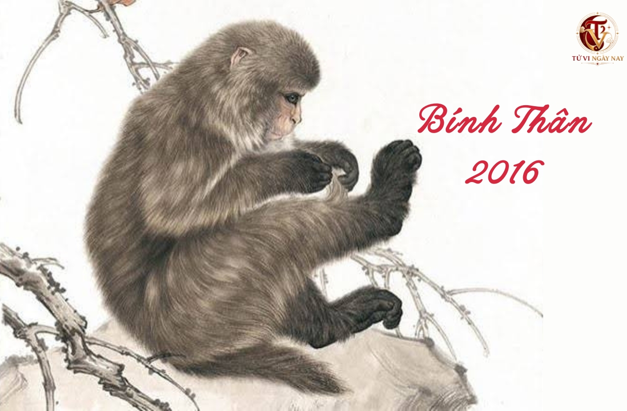 Xem tử vi trọn đời tuổi Bính Thân 2016 nữ mạng chi tiết chính xác