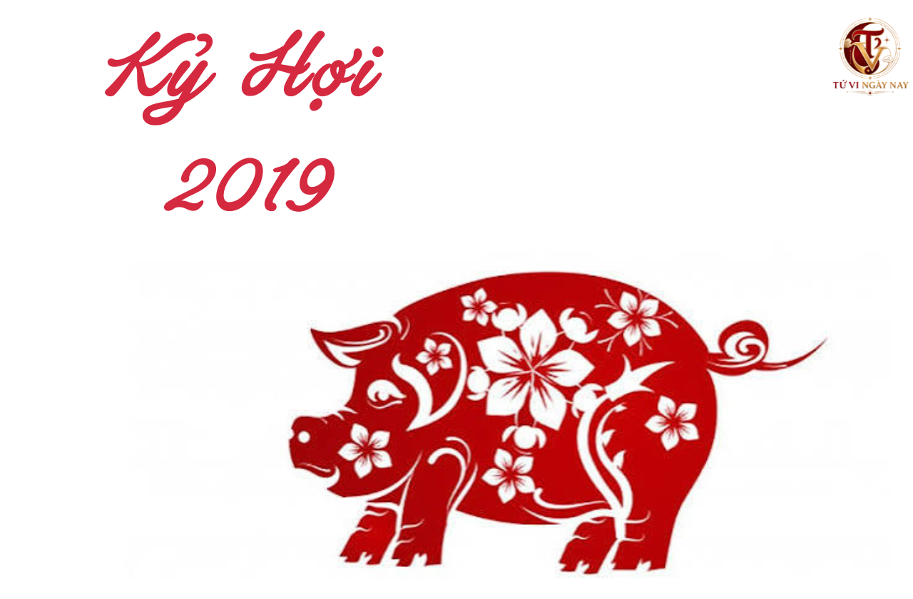 Xem tử vi trọn đời tuổi Kỷ Hợi 2019 nam mạng chi tiết chính xác