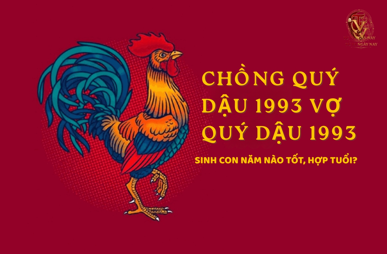 Chồng Quý Dậu 1993 vợ Quý Dậu 1993 sinh con năm nào tốt, hợp tuổi?
