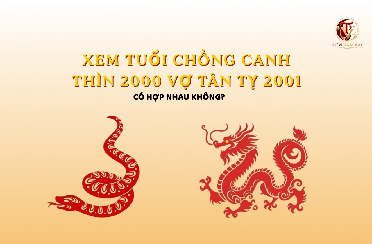 Xem tuổi chồng Canh Thìn 2000 vợ Tân Tỵ 2001 có hợp nhau không?
