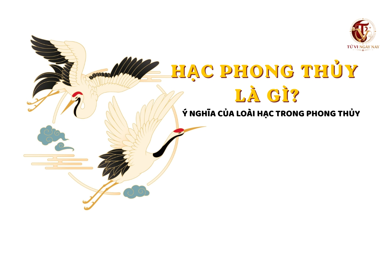 Hạc phong thủy là gì? Ý nghĩa của loài Hạc trong phong thủy